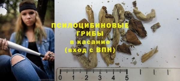 стаф Алексин