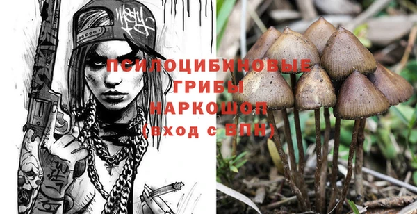 стаф Алексин