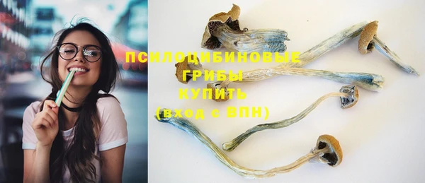 соль ск Алексеевка