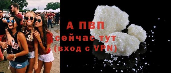 стаф Алексин