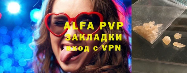 стаф Алексин