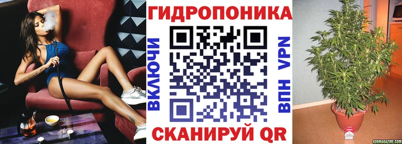 Шишки марихуана индика  hydra как зайти  Алзамай  закладка 